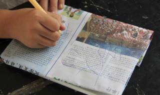 饭圈权重是什么意思（饭圈 权重）