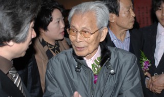 吴冠中简介（吴冠中简介《父爱之舟》）