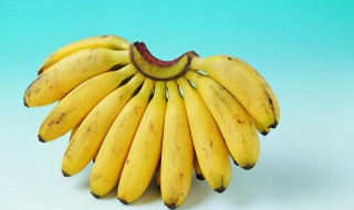 米蕉的功效与作用 香蕉和米蕉的功效与作用