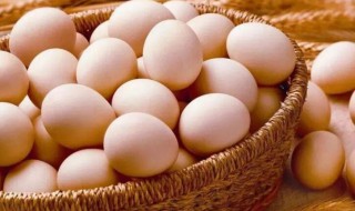笨鸡蛋和普通鸡蛋营养价值一样吗（笨鸡蛋和普通鸡蛋营养价值一样吗?）