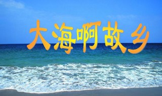 大海啊故乡的歌词（大海啊故乡的歌词是什么）