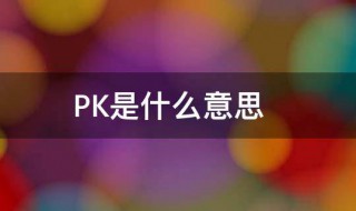 什么是pk（什么是PKI）