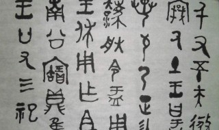 赞美中国汉字的句子（赞美中国汉字的句子有哪些）