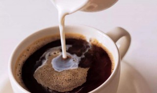 咖啡可以加牛奶吗（冲泡的咖啡可以加牛奶吗）