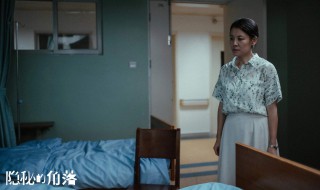 隐秘的角落普普和严良是好的吗 隐秘的角落普普的结局