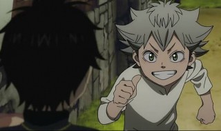 黑色四叶草介绍 黑色四叶草介绍四叶草