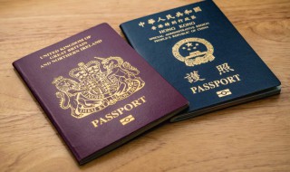 bno护照是什么护照 bno护照 百度百科