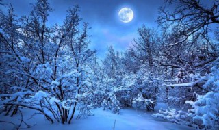 关于雪的歌 关于雪的歌有哪些