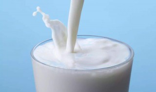 纯牛奶加酸奶制作酸奶方法 纯牛奶加酸奶制作酸奶方法窍门