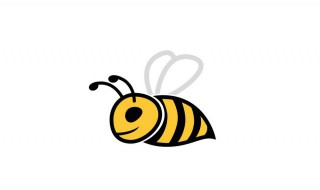 蜜蜂怎么吃 蜂蜜怎么吃效果最好