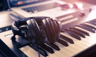 我就是那一只林中的小鸟是什么歌（我就是那一只林中的小鸟是什么歌名）