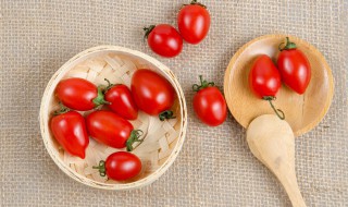 怎么种植小番茄 怎么种植小番茄种子