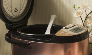 怎么煲饭（怎么煲饭教程）