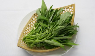 怎么储存野菜（野菜保鲜储存方法）