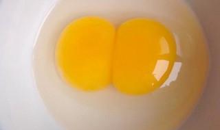 鹅蛋的烧法与吃法 鹅蛋的烧法与吃法图片