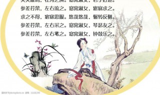 关雎文化常识（关雎的文言常识）