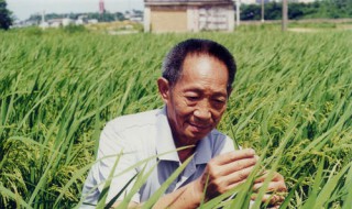 袁隆平是哪里人?什么身份?（袁隆平是哪里人简介）