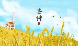 二十四节气芒种的内涵寓意 24节气芒种的意义