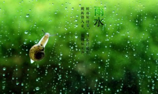 雨水节气吃什么传统食物（雨水节气如何养生吃这些最养生）