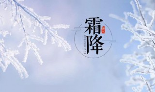 霜降节气的风俗食物（霜降节气的风俗食物有哪些）