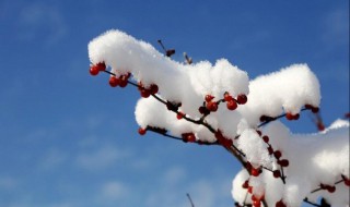 雪的形成 雪的形成过程