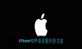 iPhone12如何开启声音识别（苹果12siri声音识别）