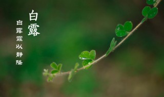 白露节气古诗词（白露节气古诗词四句）