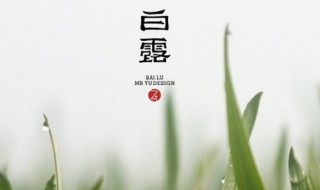 白露节气的含义（白露节气的含义是什么）