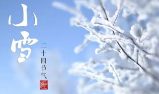 小雪节气养生知识（小雪节气养生知识大全）