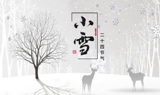 小雪节气的寓意和传统（小雪节气的讲究）