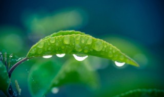 梅雨季节2021什么时间入梅（梅雨季节2021什么时间入梅杭州）