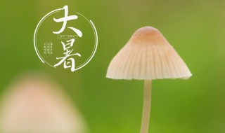 大暑节气的寓意和传统 大暑节气的由来