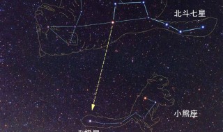 北极星位于哪个星座（北极星位于哪个星座?）