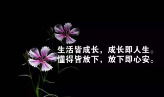 早安生活句子简短（早安生活句子简短唯美）