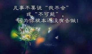 早安短句一句话正能量（早安一句话正能量美丽心语）