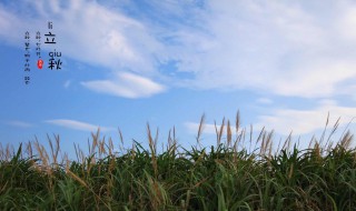 贴秋膘是说人胖吗 贴秋膘有科学依据吗