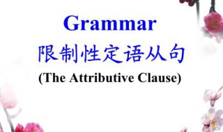 限制性定语从句 限制性定语从句和非限制性区别