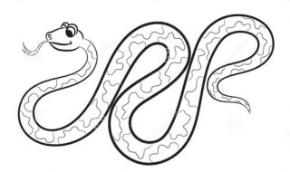 遇见蛇怎么解决 遇到蛇了预示什么