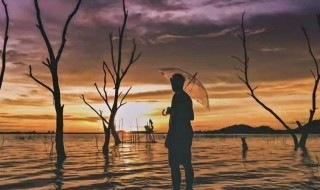 给自己温柔的文案 给自己温柔的文案短句