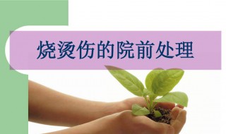烧伤了要怎么处理（烧伤了应该怎么办）