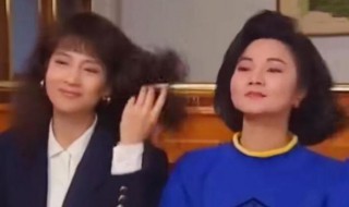 家有仙妻演员表（家有仙妻演员表大全）