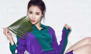 宋妍霏资料（宋宋妍霏）