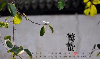 惊蛰节气有什么传统习俗（惊蛰节气的讲究）