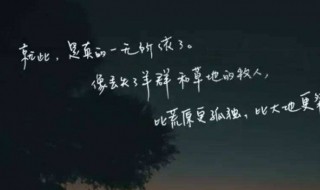 爱的温柔文案（爱的温柔文案怎么写）