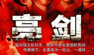 亮剑演员表（亮剑演员表图片）