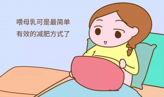 新婴儿怎么喂养母乳（新婴儿怎么喂养母乳比较好）