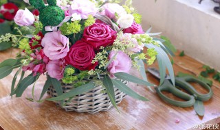 收花说说心情短语 收花说说心情短语简短