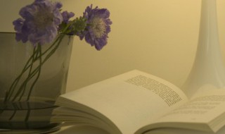 这几句话句句扎心（句句扎心啊）