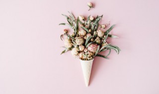 关于猴子的心情短语 关于猴子的心情短语有哪些