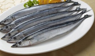 刀鱼怎么保存好 刀鱼怎么保存好一点